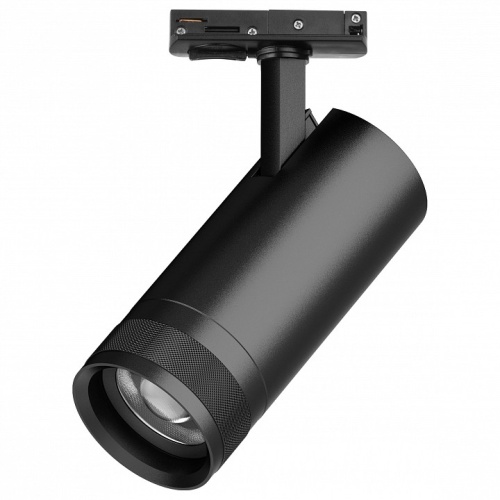 Светильник на штанге Lightstar Canno Pro C4207SS Светильник на штанге Lightstar Canno Pro C4207SS