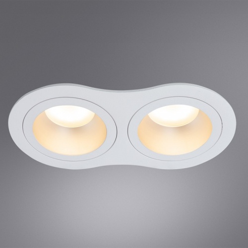 Встраиваемый светильник Arte Lamp Alkes A2161PL-2WH фото 2