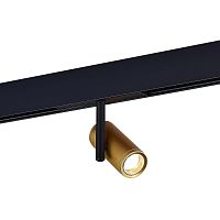 ST808.246.08 Магнитный трековый светильник Золотистый LED 1*8W 4000K 650Lm Ra>90 36° IP20 D42xH135 48VV