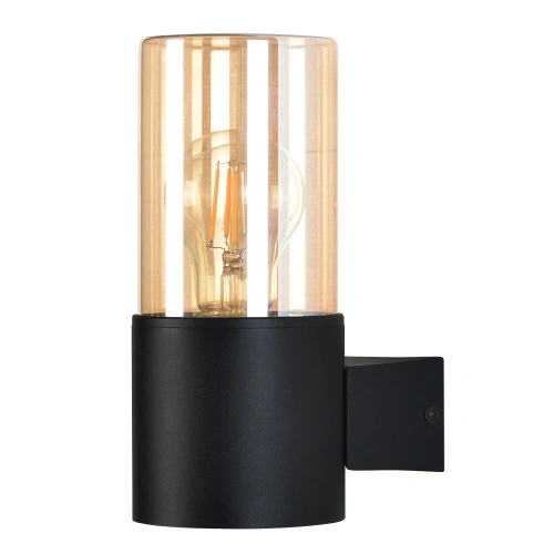 Уличный настенный светильник Arte lamp SEGINUS A6515AL-1BK Уличный настенный светильник Arte lamp SEGINUS A6515AL-1BK