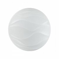 2090/DL PALE SN 067 Светильник пластик/белый LED 48Вт 3000-6300K D440 IP43 пульт ДУ ERICA