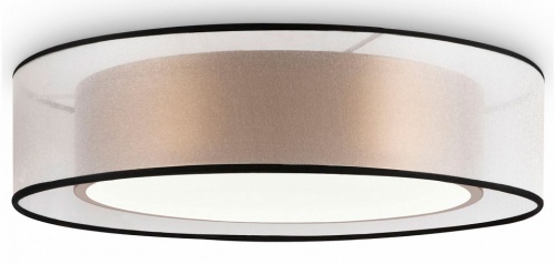Накладной светильник Freya Zoticus FR6005CL-L36G Накладной светильник Freya Zoticus FR6005CL-L36G