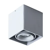 Точечный накладной светильник Arte Lamp PICTOR A5654PL-1GY