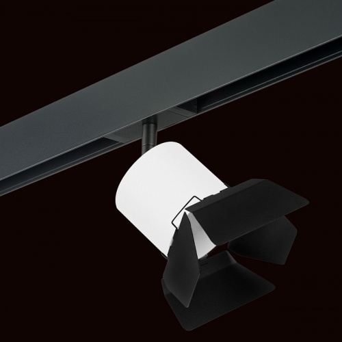 Светильник на штанге Lightstar Rullo PRO3486487 фото 2