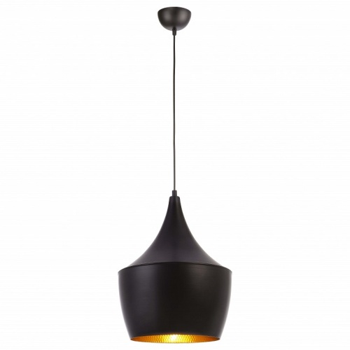 Подвесной светильник Arte Lamp CAPPELLO A3407SP-1BK фото 2