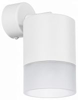 Спот Lightstar Rullo RBX348681