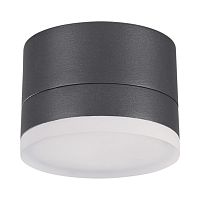 NOVOTECH 358084 STREET NT19 728 темно-серый Ландшафтный светильник IP54 LED 3000К 12W 220V KAIMAS