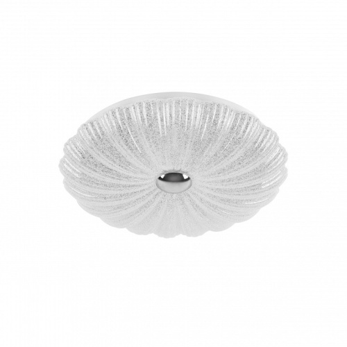 Накладной светильник Lightstar Arco Shell 225630 фото 2