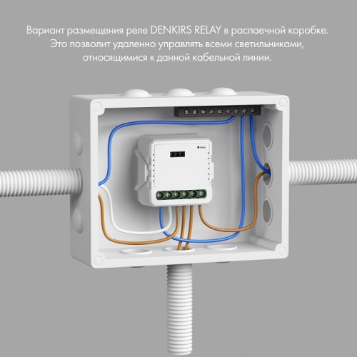 Контроллер-диммер Wi-Fi для смартфонов и планшетов Denkirs Relay RL1003-DM фото 4