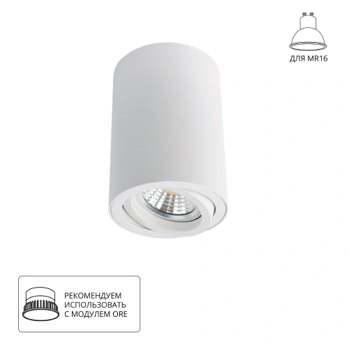 Точечный накладной светильник Arte Lamp SENTRY A1560PL-1WH Точечный накладной светильник Arte Lamp SENTRY A1560PL-1WH