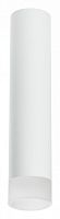 Накладной светильник Lightstar Rullo R49631