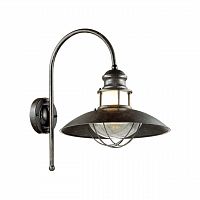 ODEON LIGHT 4164/1WA NATURE ODL19 705 коричневый/прозрачный Уличный настенный светильник IP44 E27 1*60W DANTE