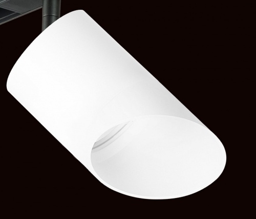 Светильник на штанге Lightstar Rullo PRO348686 фото 4 Светильник на штанге Lightstar Rullo PRO348686 фото 4