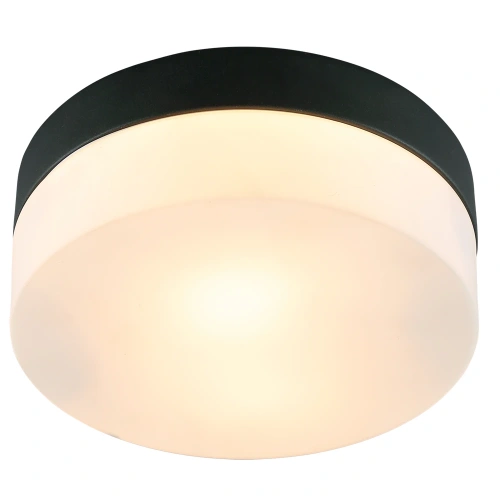 Потолочный светильник Arte Lamp AQUA-TABLET A6047PL-1BK Потолочный светильник Arte Lamp AQUA-TABLET A6047PL-1BK