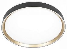 Накладной светильник Citilux BOSS CL751451G