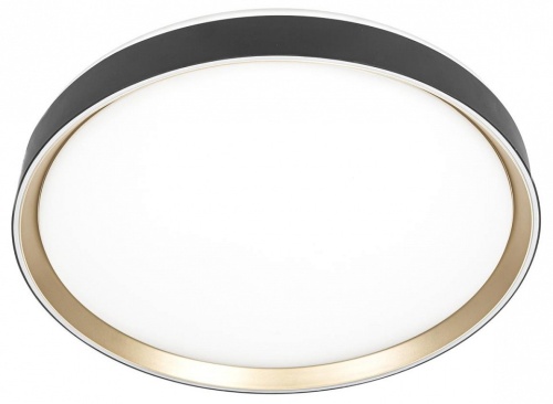 Накладной светильник Citilux BOSS CL751451G Накладной светильник Citilux BOSS CL751451G