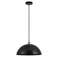 Подвесной светильник Arte Lamp CAPPELLO A7056SP-1BK