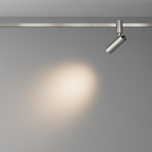 Светильник на штанге Maytoni Technical TR144-1-12W3K-W-PT фото 2 Светильник на штанге Maytoni Technical TR144-1-12W3K-W-PT фото 2
