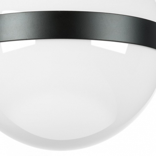 Накладной светильник Lightstar Globo 812117 фото 2 Накладной светильник Lightstar Globo 812117 фото 2
