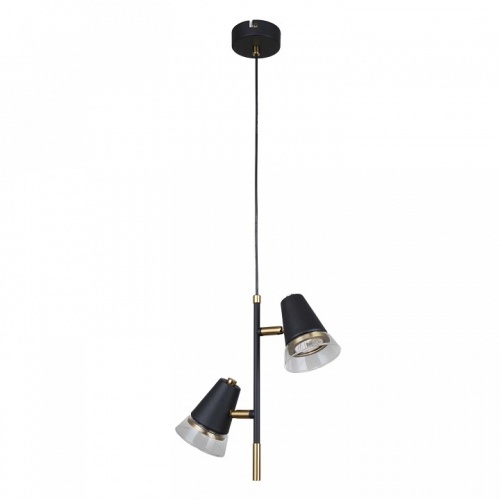 Подвесной светильник F-promo Trandy 4618-2P фото 2