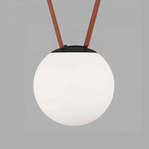 Накладной светильник Denkirs BELTY ORB DK5552-BK фото 2