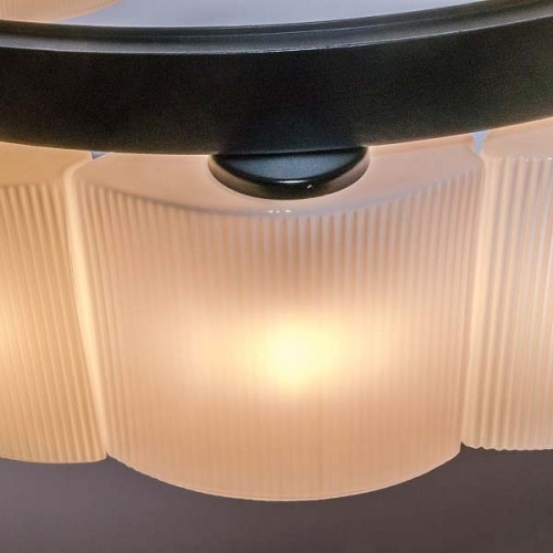 Подвесной светильник Lightstar Nibbler 812186 фото 9 Подвесной светильник Lightstar Nibbler 812186 фото 9