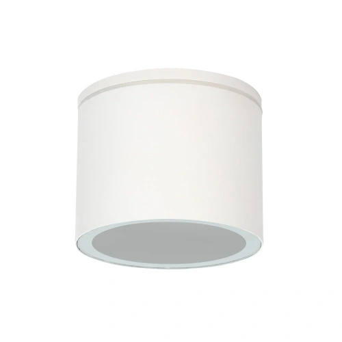 Уличный потолочный светильник Arte Lamp PIAUTOS A1913PF-1WH Уличный потолочный светильник Arte Lamp PIAUTOS A1913PF-1WH