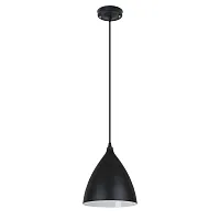 Подвесной светильник Arte Lamp LARK A7075SP-1BK