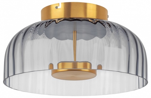 Накладной светильник Lightstar Celesta 809061 Накладной светильник Lightstar Celesta 809061