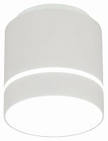 Накладной светильник Citilux Борн CL745020N