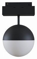 Светильник на штанге Maytoni Track lamps TR017-2-10W4K-B