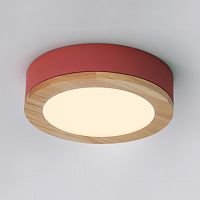 Потолочный светильник WUDDA D50 Розовый