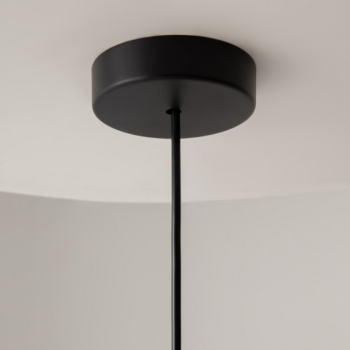 Подвесной светильник Maytoni Basic colors MOD167PL-01B фото 10