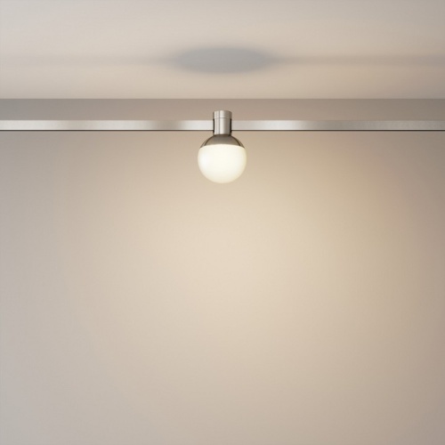 Накладной светильник Maytoni Technical Luna TR149-1-5W3K-PT фото 2 Накладной светильник Maytoni Technical Luna TR149-1-5W3K-PT фото 2