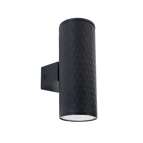 Фасадный светильник Arte Lamp HYADUM A3458AL-2BK Фасадный светильник Arte Lamp HYADUM A3458AL-2BK