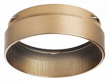 Кольцо декоративное Lightstar Rullo 203490
