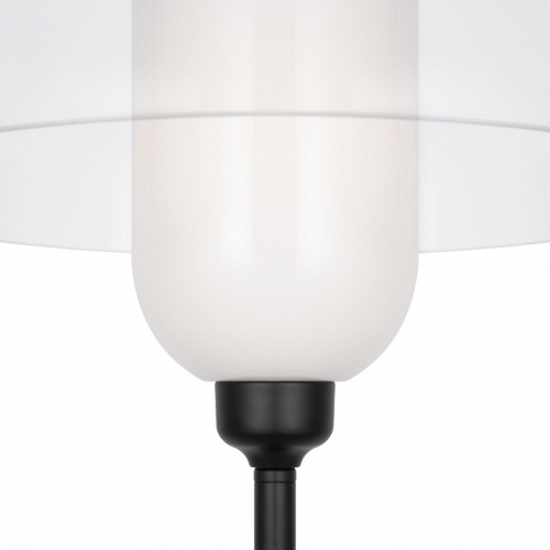 Торшер Maytoni Memory MOD177FL-01B фото 3
