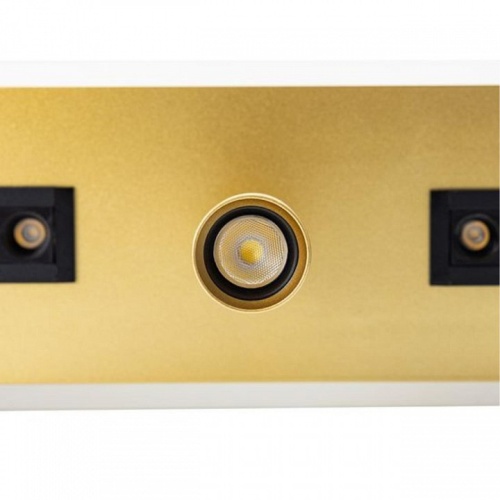 Спот Arte Lamp Pisces A2220PL-3GO фото 4