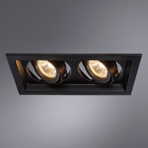 Встраиваемый светильник Arte Lamp Canis A6661PL-2BK фото 2 Встраиваемый светильник Arte Lamp Canis A6661PL-2BK фото 2