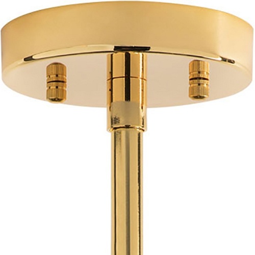 Люстра на штанге Lightstar Dumo 816066 фото 4