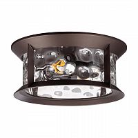 ODEON LIGHT 4961/2C NATURE ODL22 703 темно-коричневый/стекло Ландшафтный потолочный светильник E27 2*60W IP44 MAVRET
