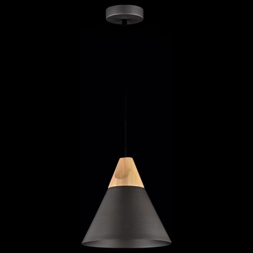 Подвесной светильник Maytoni Bicones P359-PL-220-C фото 3