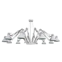 Подвесная люстра Arte Lamp RAGNO A2043SP-12WH