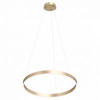 Подвесной светильник Denkirs RAYDIA DK6273-SG