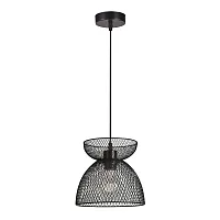 Подвесной светильник Arte Lamp CASTELLO A7065SP-1BK