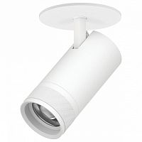 Спот Lightstar Canno Pro C4306RS