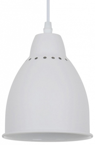 Подвесной светильник Arte Lamp Braccio A2054SP-1WH