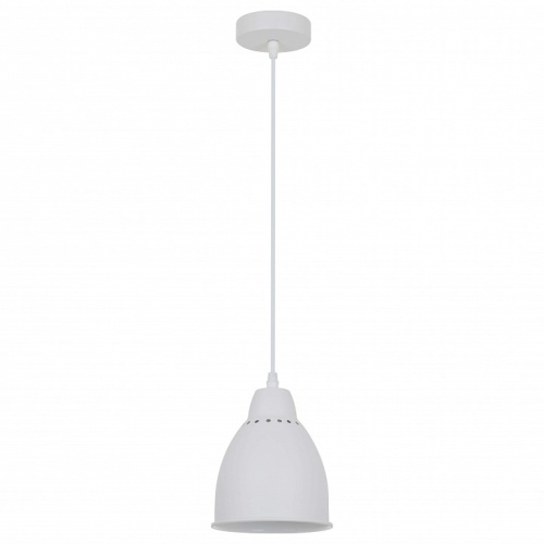 Подвесной светильник Arte Lamp Braccio A2054SP-1WH фото 2