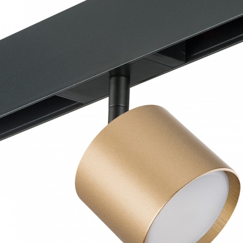 Светильник на штанге Lightstar Rullo PRO3490 фото 3