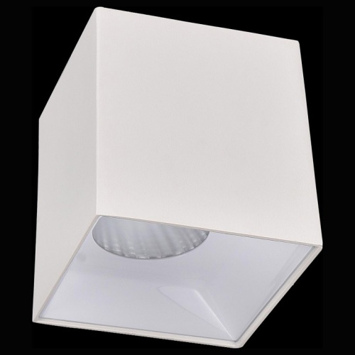 Накладной светильник Citilux Старк 1 CL7440200 фото 2 Накладной светильник Citilux Старк 1 CL7440200 фото 2